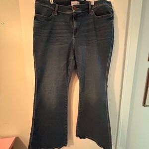 Lane Bryant Medium Blue Flare Jeans